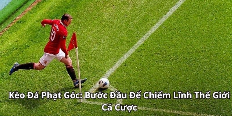 Tổng quan chi tiết về kèo phạt góc trong cá cược thể thao